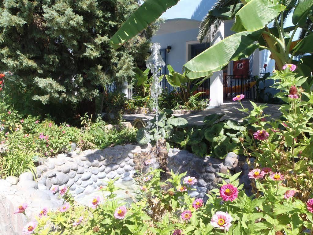 Blue Sky Hotel - Petra - Lesvos - Greece Petra (Lesbos) Exterior foto